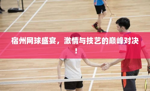 宿州網(wǎng)球盛宴，激情與技藝的巔峰對決！