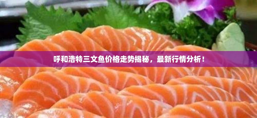 呼和浩特三文魚價格走勢揭秘，最新行情分析！