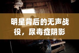 明星背后的無(wú)聲戰(zhàn)役，尿毒癥陰影下的星光挑戰(zhàn)