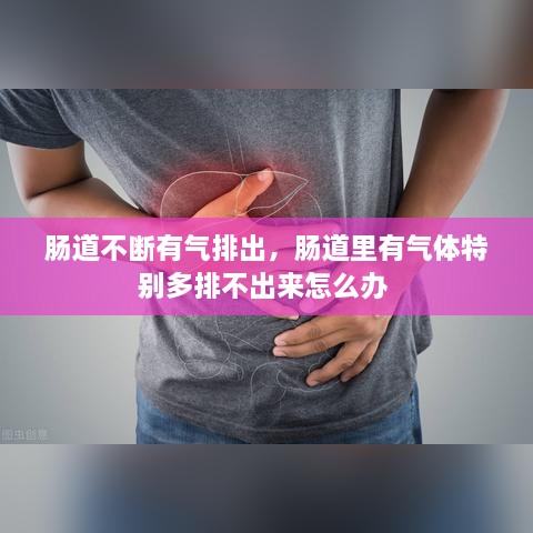 腸道不斷有氣排出，腸道里有氣體特別多排不出來怎么辦 
