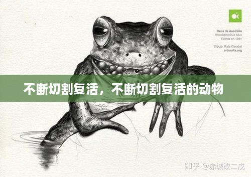 不斷切割復(fù)活，不斷切割復(fù)活的動(dòng)物 