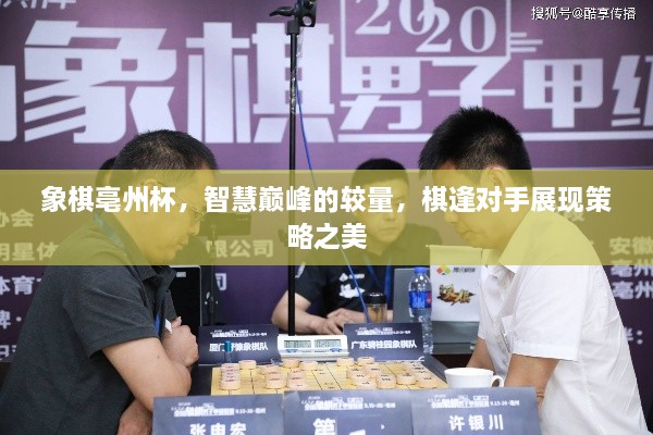 象棋亳州杯，智慧巔峰的較量，棋逢對(duì)手展現(xiàn)策略之美