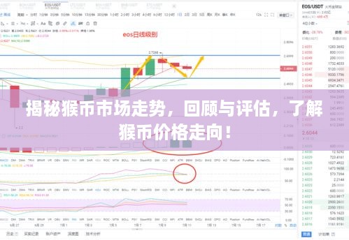 揭秘猴幣市場走勢，回顧與評估，了解猴幣價格走向！