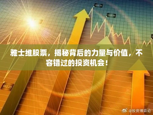 雅士維股票，揭秘背后的力量與價值，不容錯過的投資機(jī)會！