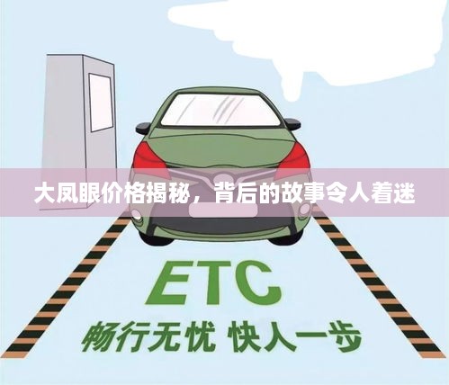 大鳳眼價(jià)格揭秘，背后的故事令人著迷