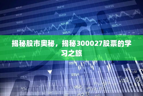 揭秘股市奧秘，揭秘300027股票的學(xué)習(xí)之旅