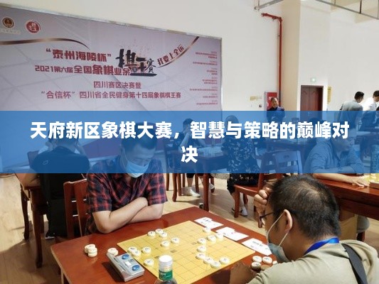天府新區(qū)象棋大賽，智慧與策略的巔峰對(duì)決