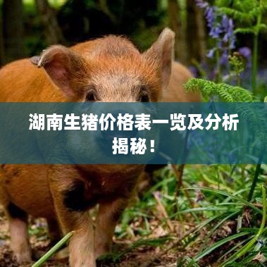 湖南生豬價(jià)格表一覽及分析揭秘！