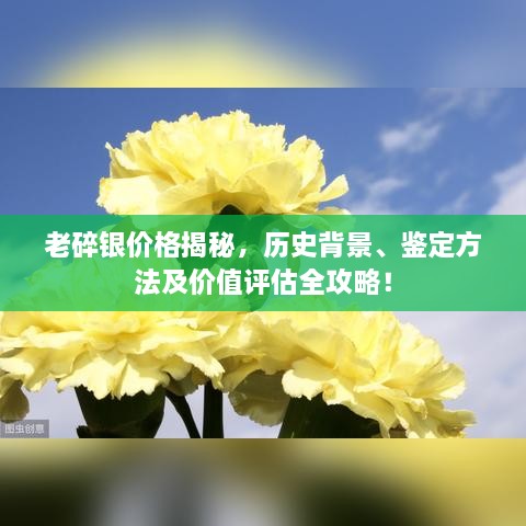 笨鳥(niǎo)先飛 第2頁(yè)