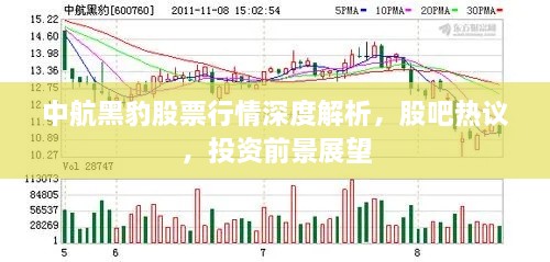 中航黑豹股票行情深度解析，股吧熱議，投資前景展望