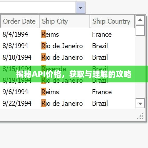 揭秘API價格，獲取與理解的攻略