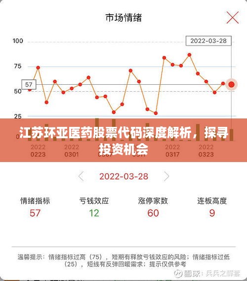 江蘇環(huán)亞醫(yī)藥股票代碼深度解析，探尋投資機(jī)會(huì)