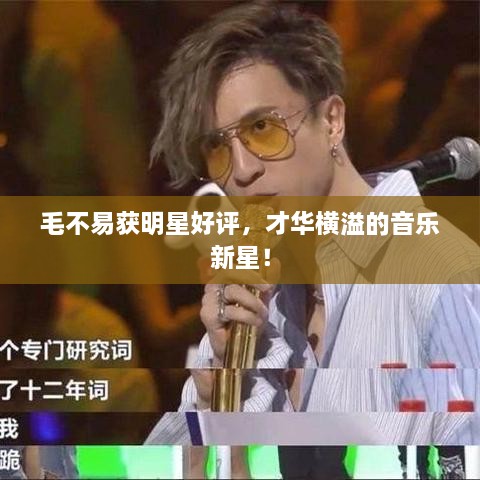 毛不易獲明星好評(píng)，才華橫溢的音樂新星！