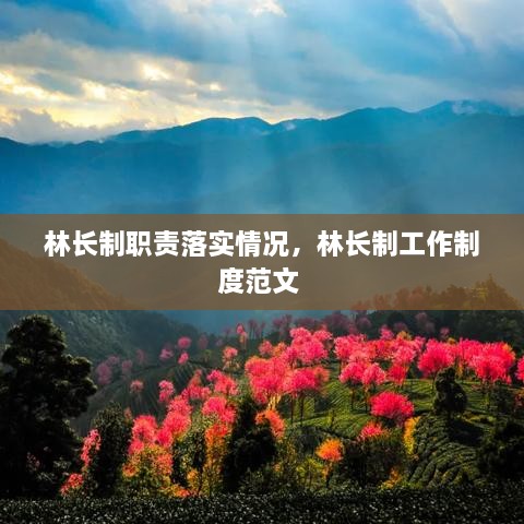 林長制職責落實情況，林長制工作制度范文 