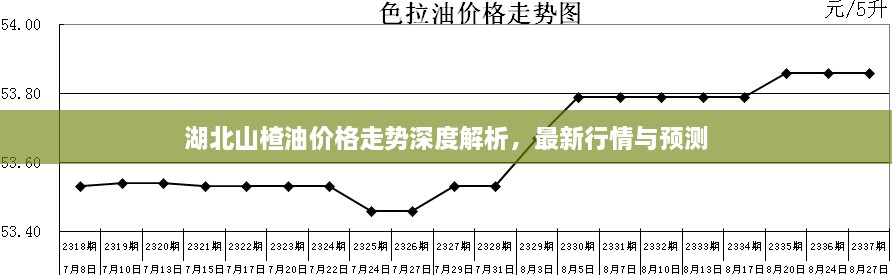 湖北山楂油價(jià)格走勢深度解析，最新行情與預(yù)測