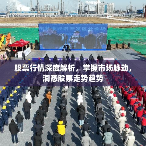 股票行情深度解析，掌握市場脈動，洞悉股票走勢趨勢