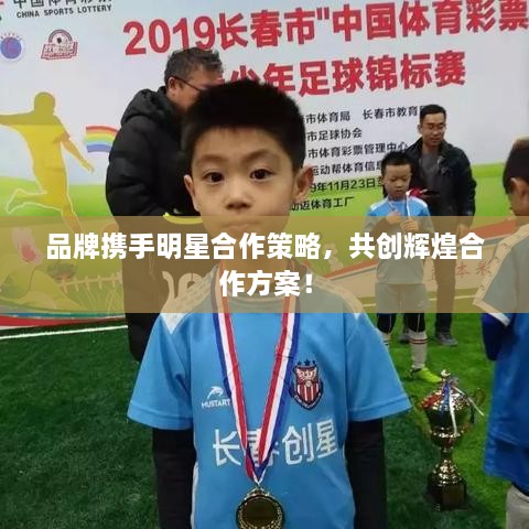 品牌攜手明星合作策略，共創(chuàng)輝煌合作方案！