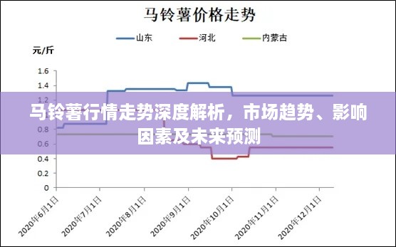 馬鈴薯行情走勢深度解析，市場趨勢、影響因素及未來預(yù)測