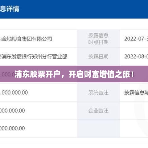 浦東股票開戶，開啟財富增值之旅！