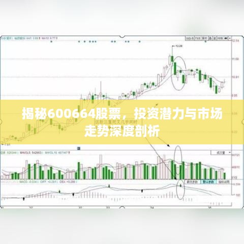 揭秘600664股票，投資潛力與市場(chǎng)走勢(shì)深度剖析