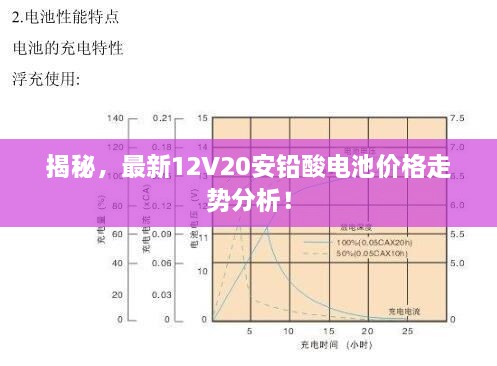 揭秘，最新12V20安鉛酸電池價(jià)格走勢(shì)分析！