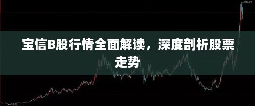 寶信B股行情全面解讀，深度剖析股票走勢