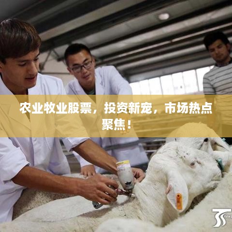 農(nóng)業(yè)牧業(yè)股票，投資新寵，市場(chǎng)熱點(diǎn)聚焦！
