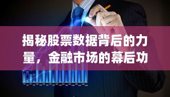 揭秘股票數(shù)據(jù)背后的力量，金融市場的幕后功臣
