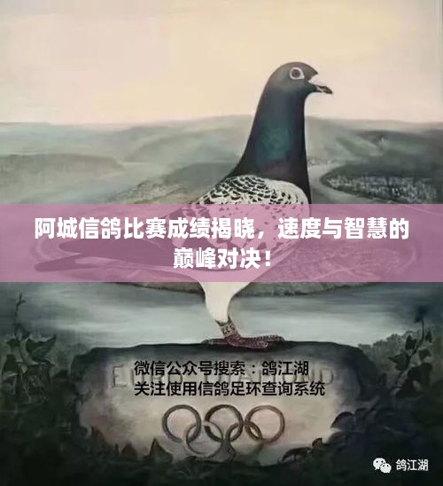 阿城信鴿比賽成績(jī)揭曉，速度與智慧的巔峰對(duì)決！
