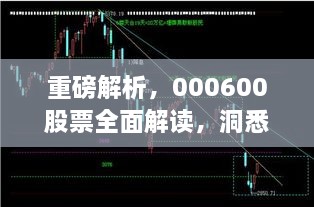 重磅解析，000600股票全面解讀，洞悉投資趨勢！
