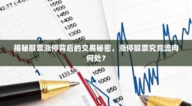 揭秘股票漲停背后的交易秘密，漲停股票究竟流向何處？