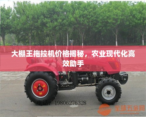 大棚王拖拉機(jī)價(jià)格揭秘，農(nóng)業(yè)現(xiàn)代化高效助手