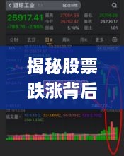 揭秘股票跌漲背后的風(fēng)險與策略，如何巧妙應(yīng)對股市波動？
