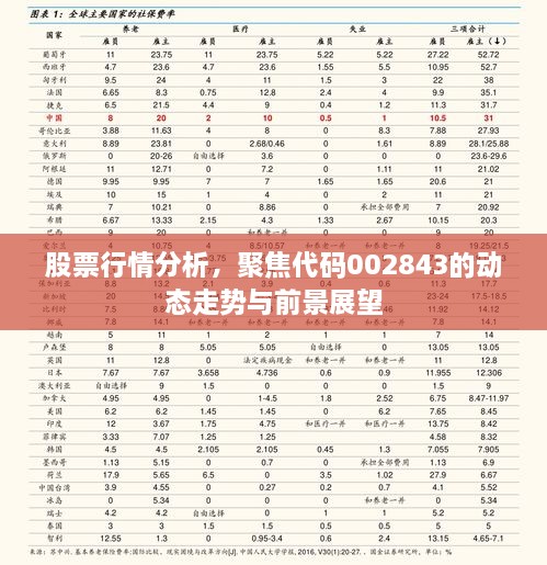 股票行情分析，聚焦代碼002843的動(dòng)態(tài)走勢(shì)與前景展望
