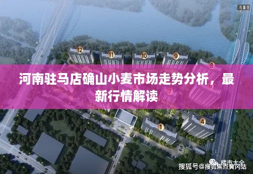 河南駐馬店確山小麥?zhǔn)袌鲎邉莘治觯钚滦星榻庾x