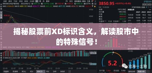 揭秘股票前XD標(biāo)識含義，解讀股市中的特殊信號！