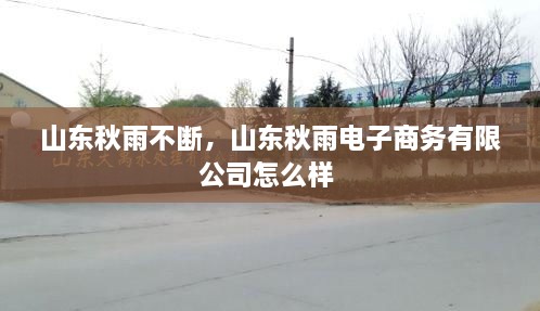 山東秋雨不斷，山東秋雨電子商務(wù)有限公司怎么樣 