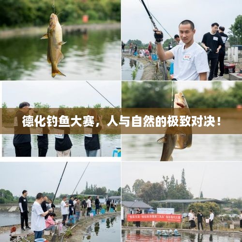 德化釣魚大賽，人與自然的極致對(duì)決！