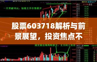 股票603718解析與前景展望，投資焦點不容錯過