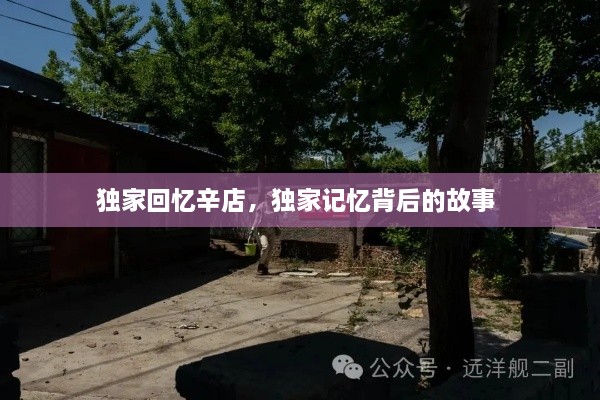 獨(dú)家回憶辛店，獨(dú)家記憶背后的故事 