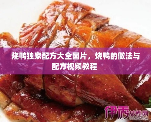 燒鴨獨家配方大全圖片，燒鴨的做法與配方視頻教程 