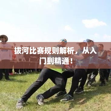 拔河比賽規(guī)則解析，從入門到精通！