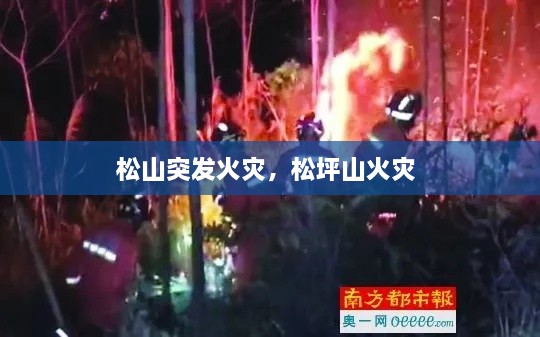 松山突發(fā)火災(zāi)，松坪山火災(zāi) 