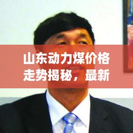 山東動力煤價格走勢揭秘，最新行情分析報告