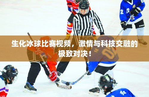 生化冰球比賽視頻，激情與科技交融的極致對(duì)決！