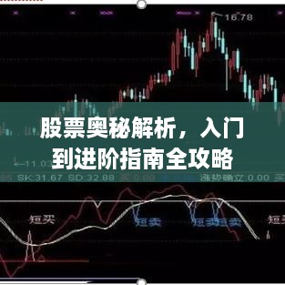 股票奧秘解析，入門到進階指南全攻略