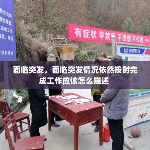 面臨突發(fā)，面臨突發(fā)情況依然按時完成工作應該怎么描述 