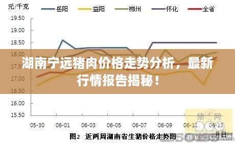 湖南寧遠(yuǎn)豬肉價格走勢分析，最新行情報告揭秘！