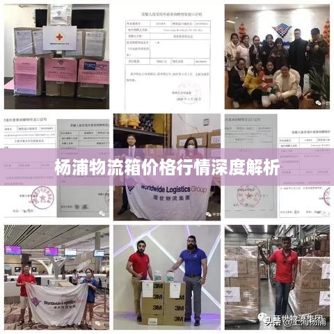 楊浦物流箱價格行情深度解析