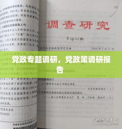 黨政專題調(diào)研，黨政策調(diào)研報(bào)告 